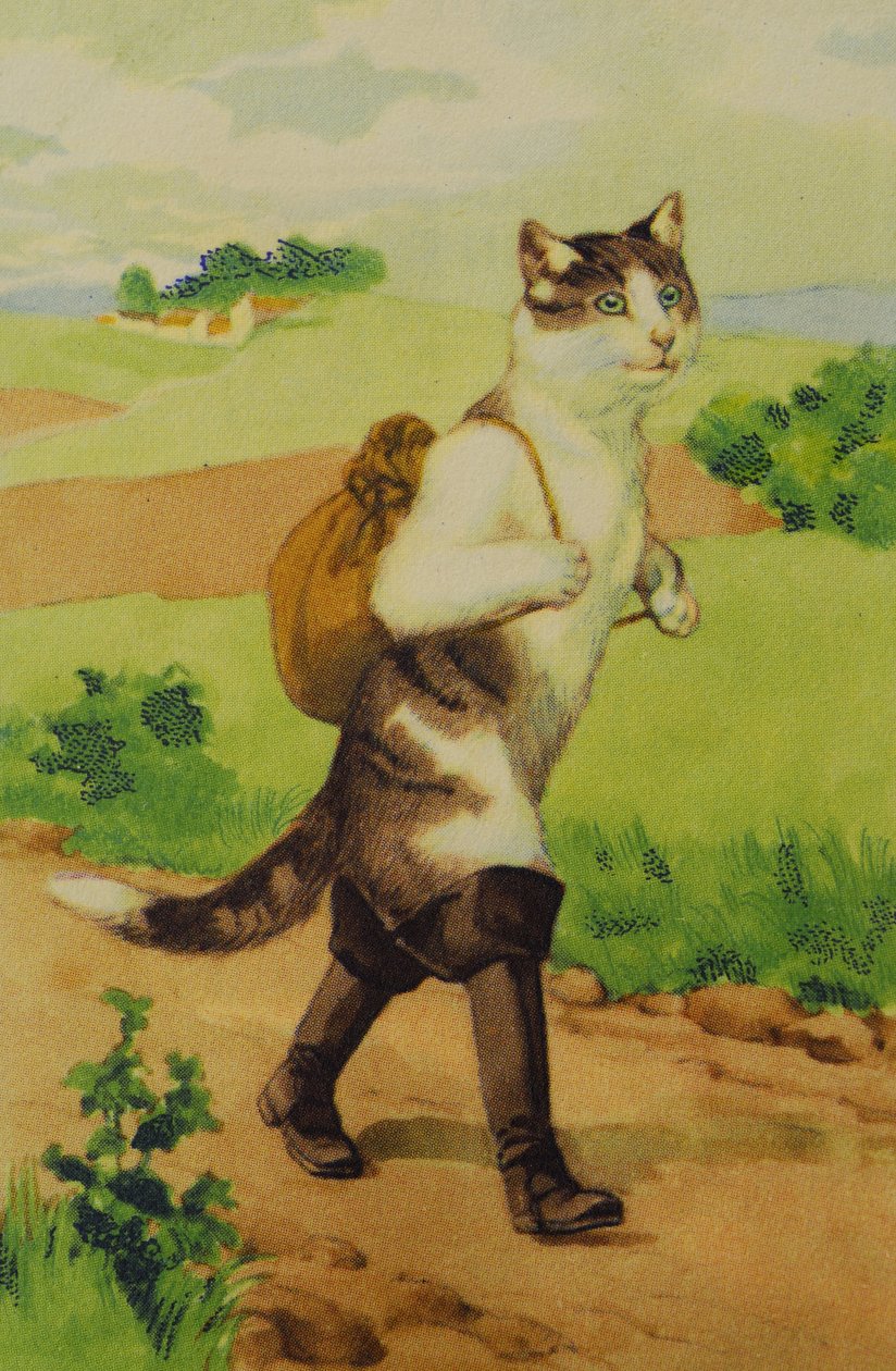 Illustrasjon The Boot Cat Conte de Perrault av Unknown