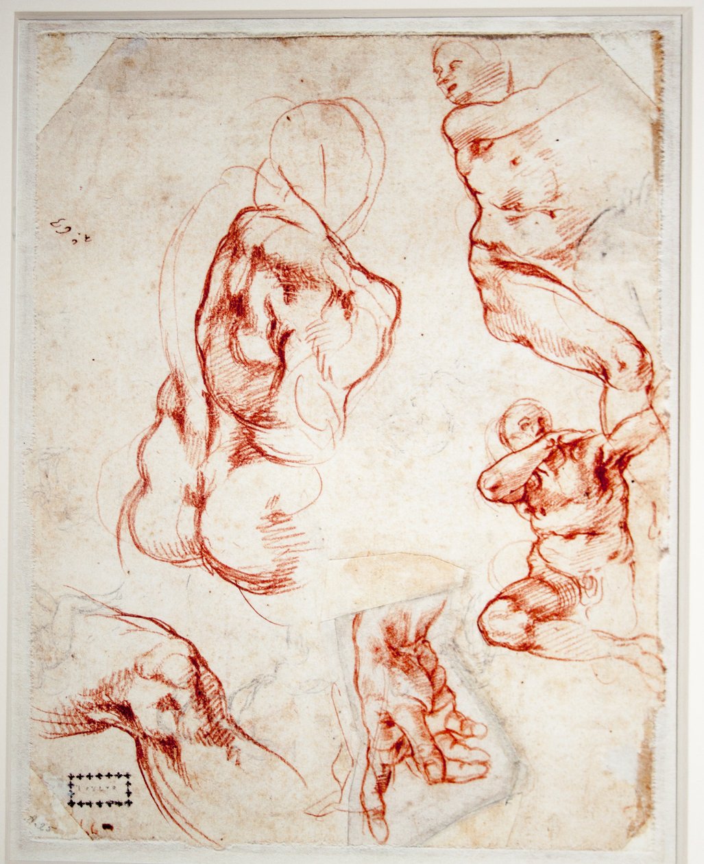 Studere for Guds hånd (skapelse av Adam) av Michelangelo Buonarroti