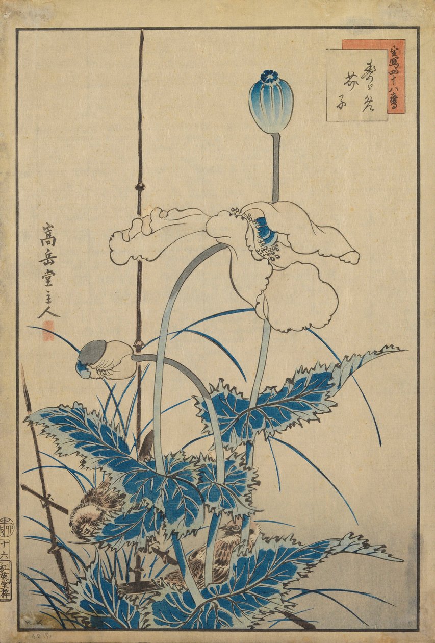 Fugl over valmuer av Nakayama Sugakudo