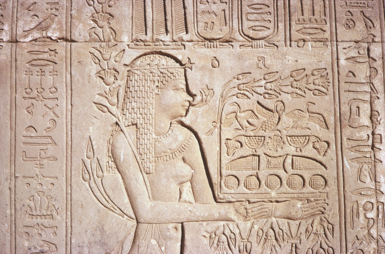 Egypt, Dendara, intrikate veggutskjæringer på østveggen ved Hathor-tempelet. av Unknown