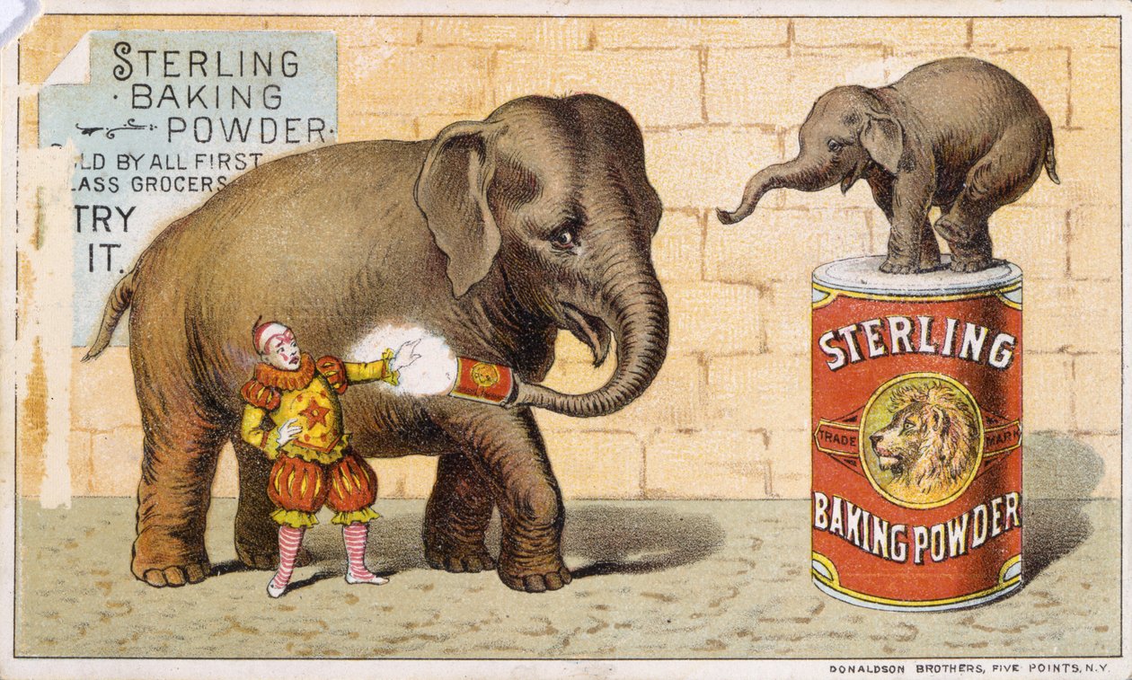 Sterling bakepulver (farge litho [varekort]) av American School