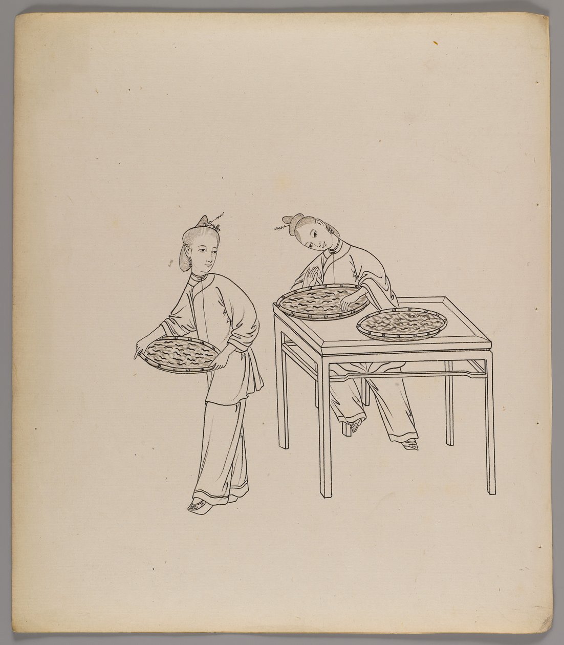 Album med separate blader: Silke Cultivation and Production (blekk på papir) (se også 499288-303) av Chinese School