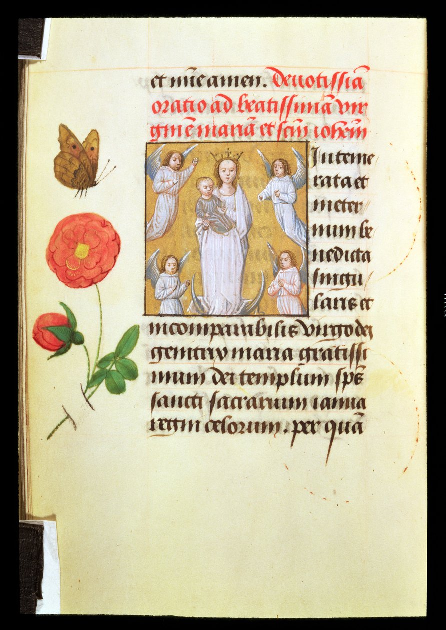 Standing Virgin and Child, Adored by Angels, ca. 1515-20 (tempera og gullmaling på vellum) av Flemish School