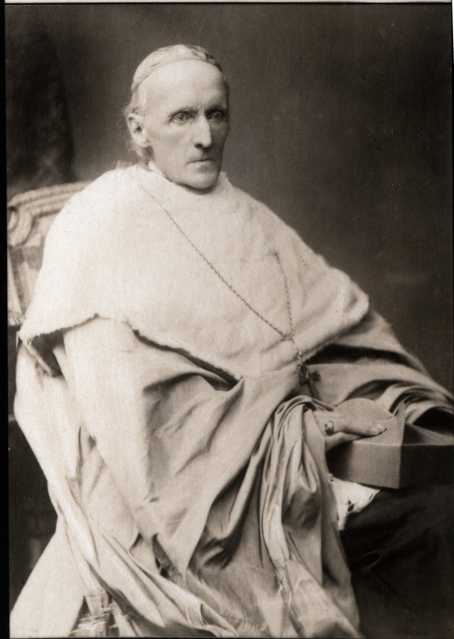 Portrett av kardinal Henry Edward Manning (1808-1892) av French Photographer