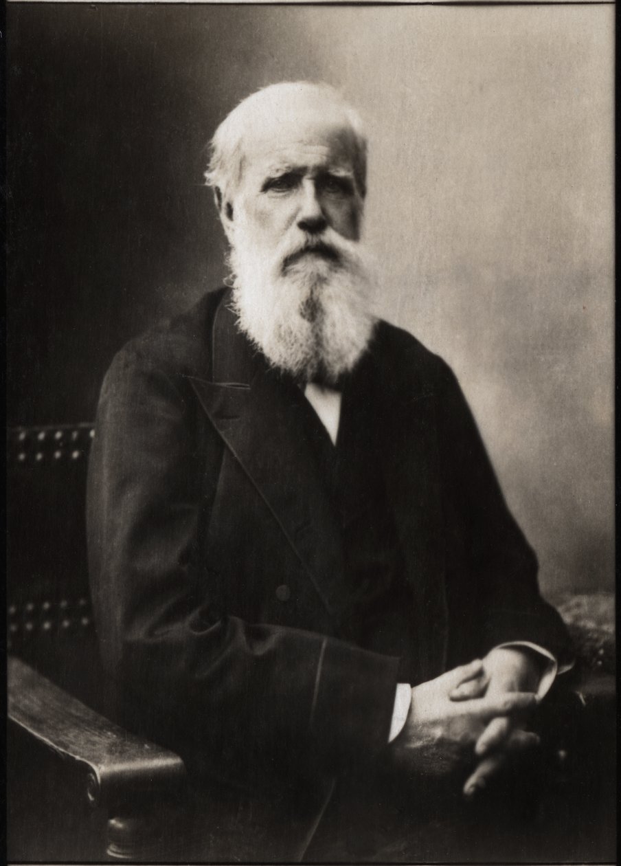 Portrett av Dom Pedro II (Peter II) (1825-1891), keiser av Brasil. av French Photographer