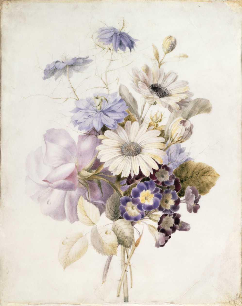 Blomster med tusenfryd, 1840 (wc på papir) av French School
