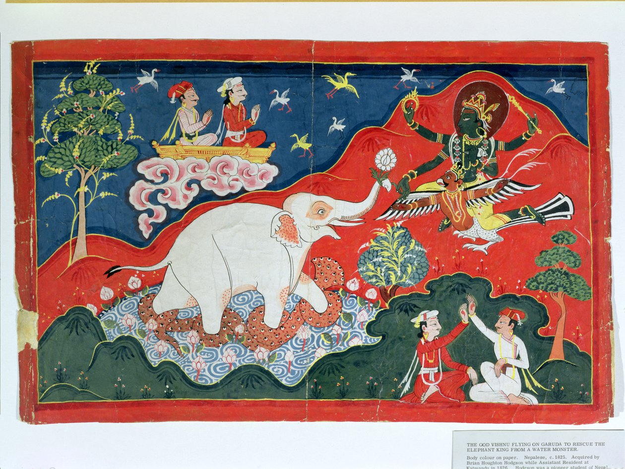 Guden Vishnu flyr på Garuda for å redde elefantkongen fra et vannmonster, nepalesisk, ca. 1825 av Indian School