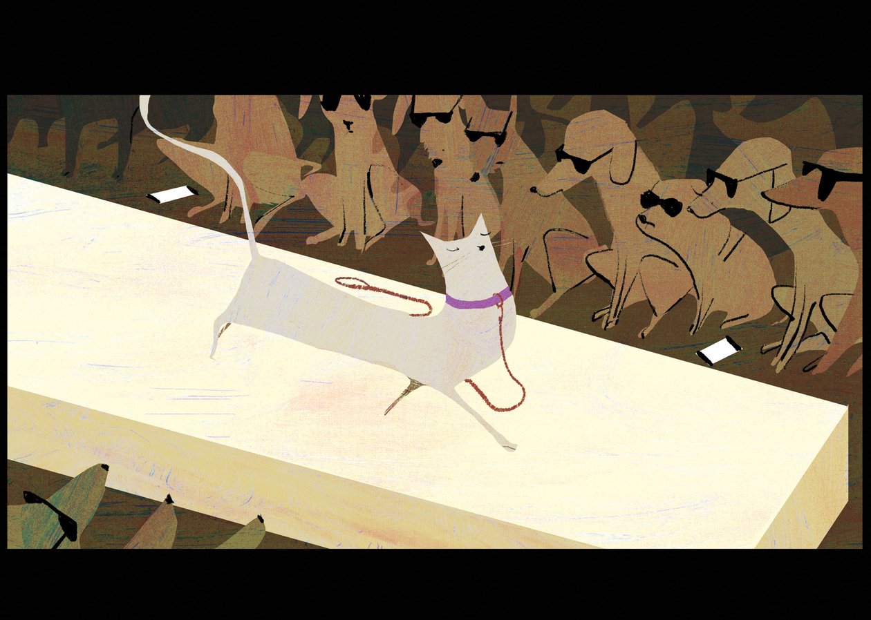 Catwalk, 2016 av A.Richard Allen