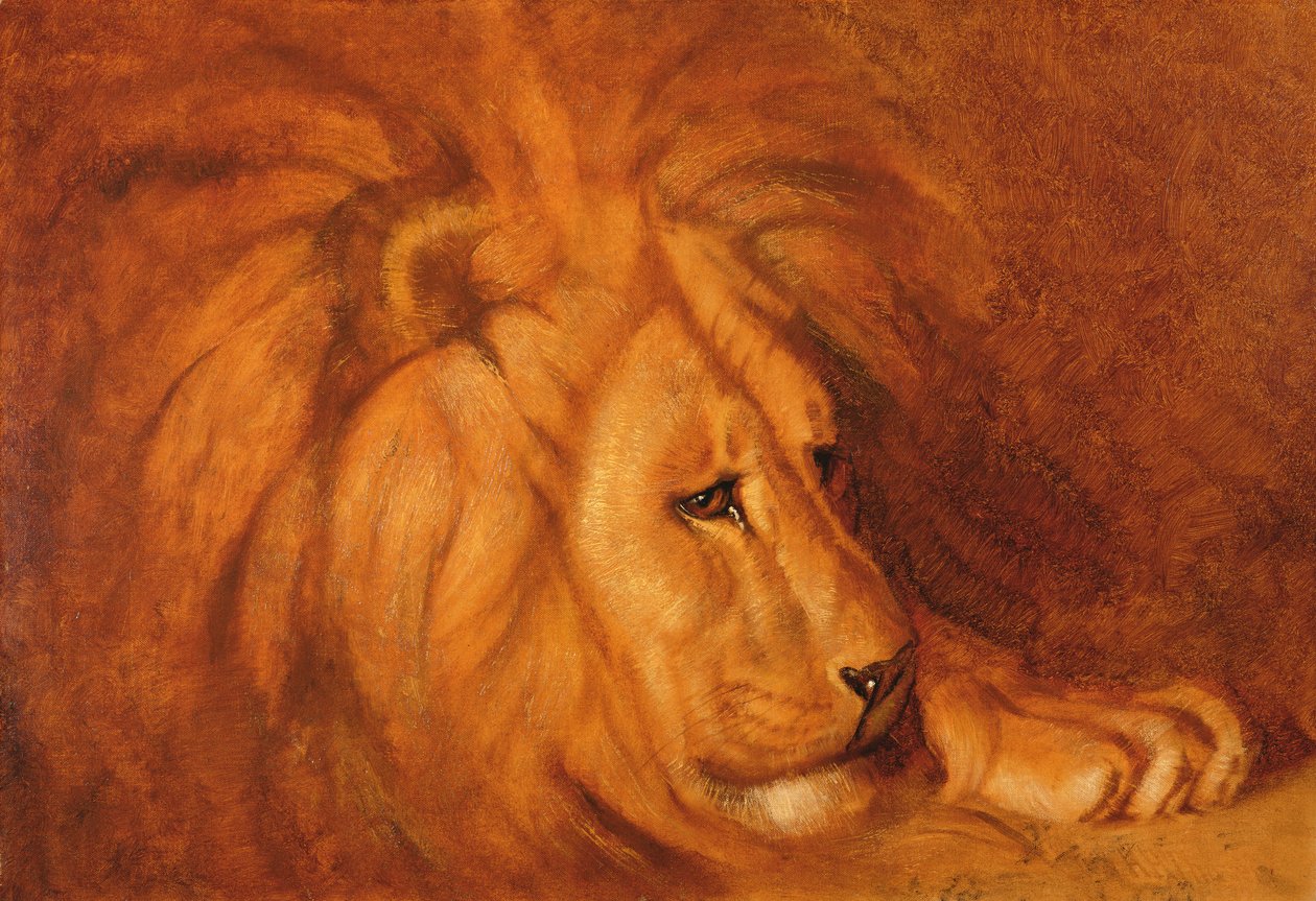 Løve i hvile (olje på lerret) av Abbott Handerson Thayer