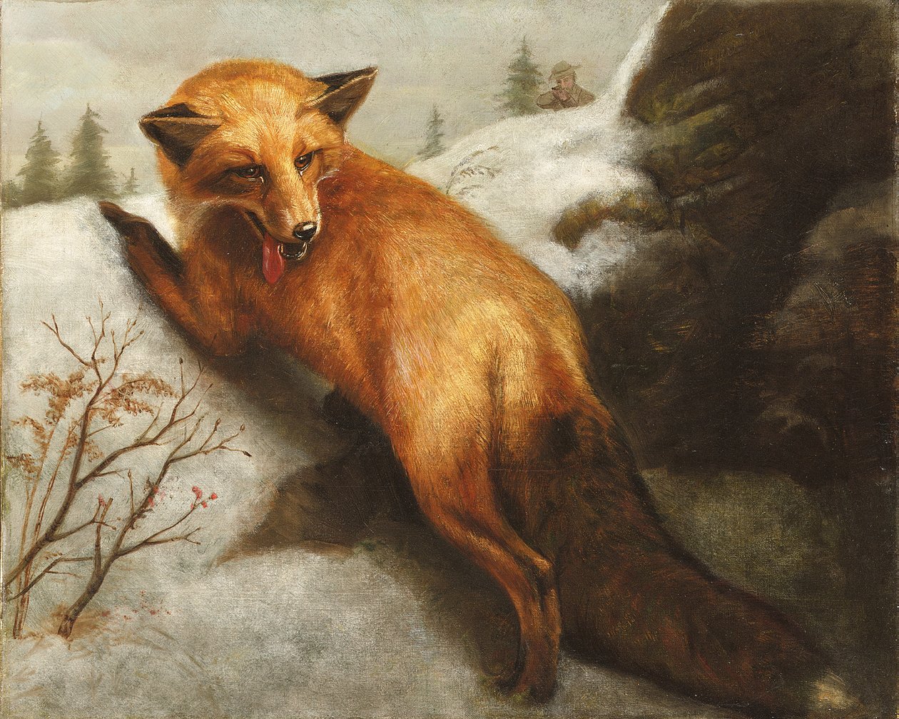 The Red Fox, 1870 av Abbott Handerson Thayer