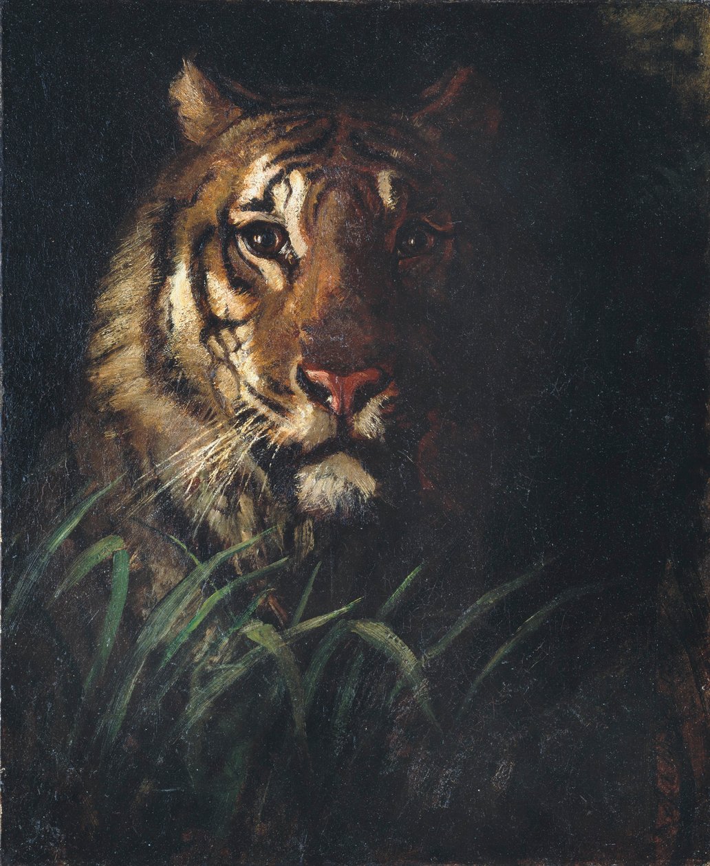  av Abbott Handerson Thayer