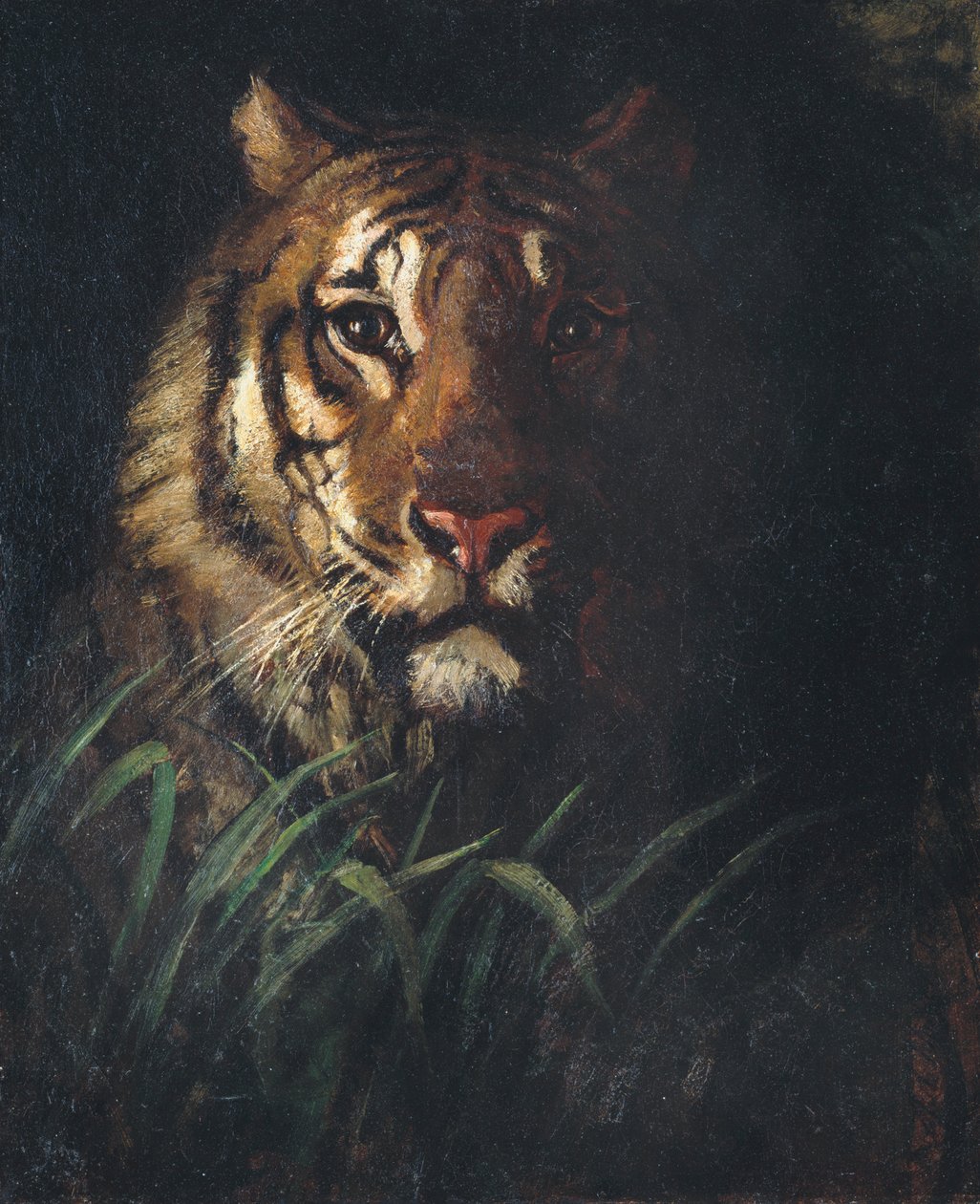 Tigerhode, ca. 1874. av Abbott Handerson Thayer