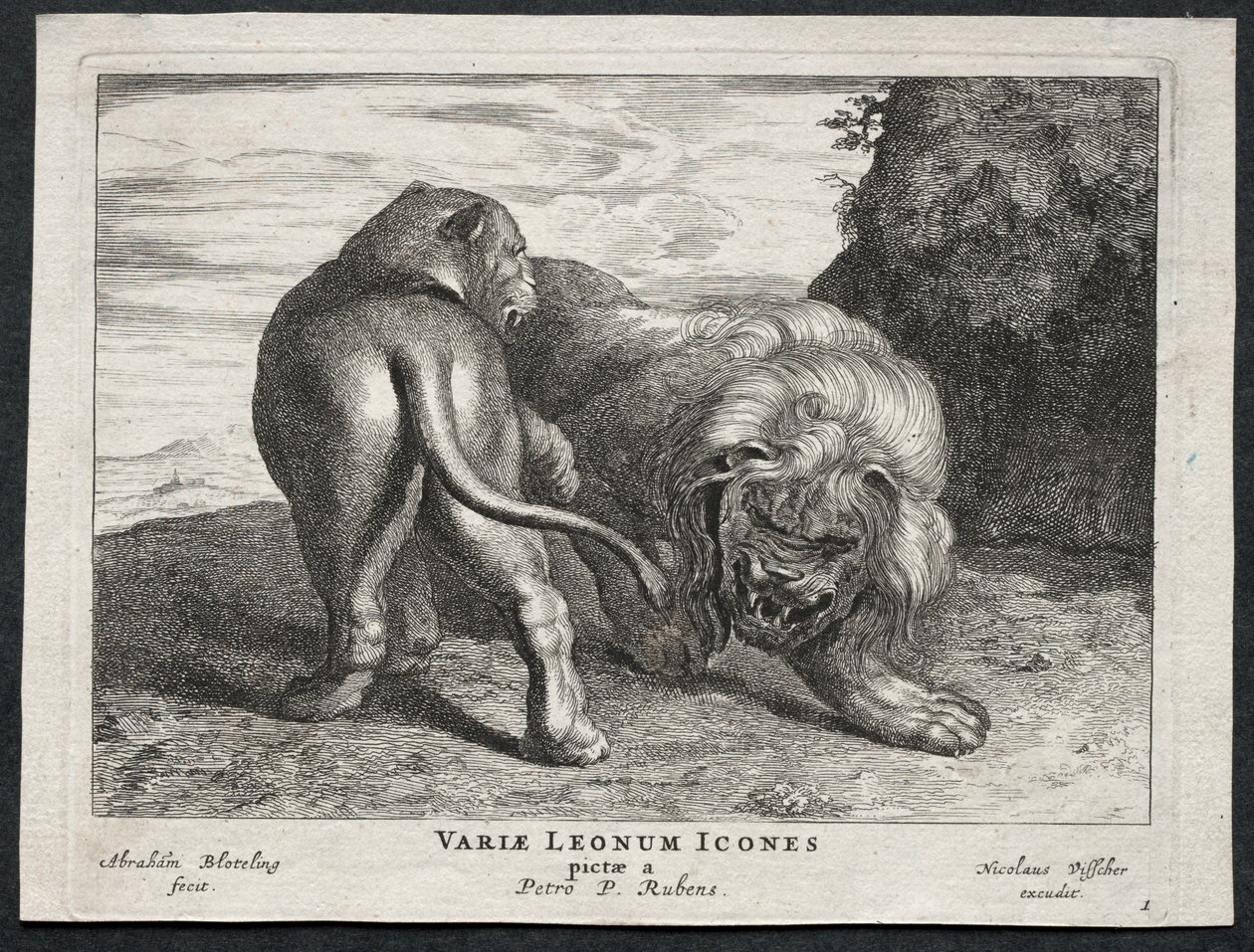 Ulike løver. av Abraham Blooteling