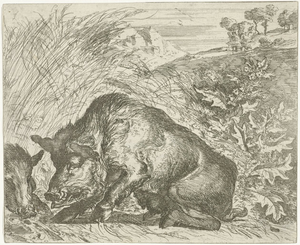 Villsvin Forskjellige dyr (serietittel) av Abraham Danielsz. Hondius