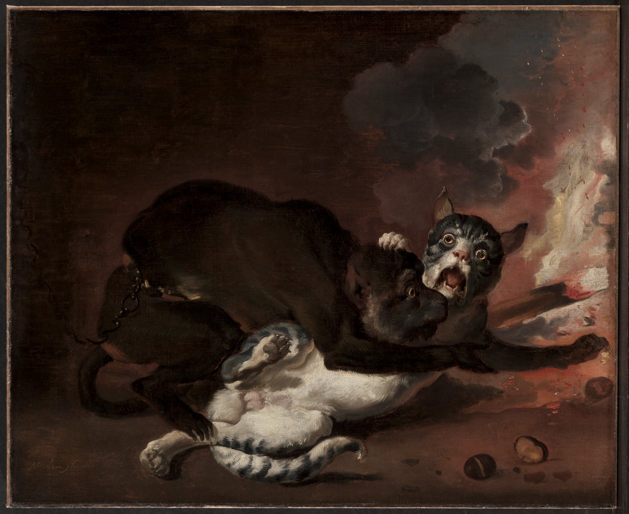 Apen og katten av Abraham Hondius