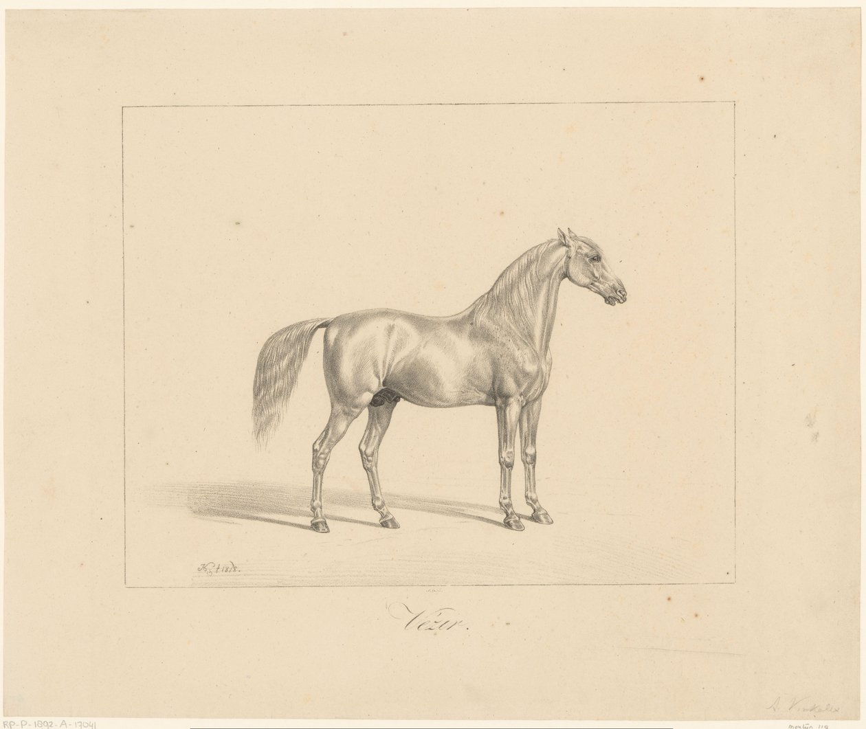 Arabisk hingst Vezir (tittel på objekt) av Abraham Vinkeles
