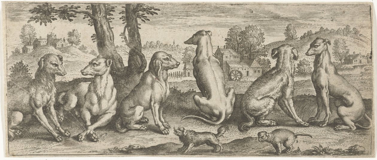 hunder Dyr (serietittel) av Abraham de Bruyn (possibly)