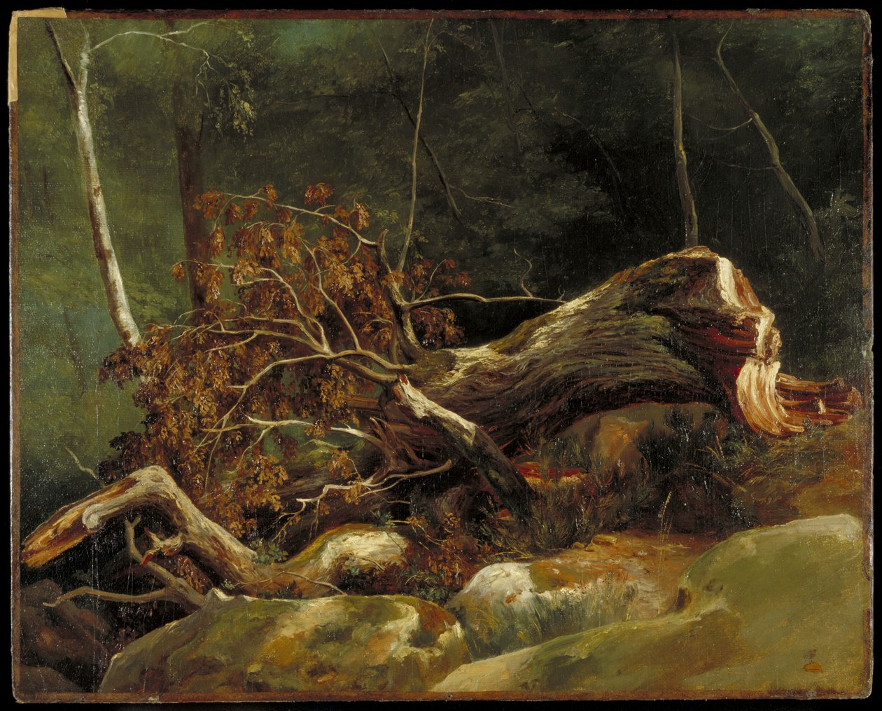 The Fallen Branch, Fontainebleau, ca. 1816 (olje på lerret på kort) av Achille Etna Michallon