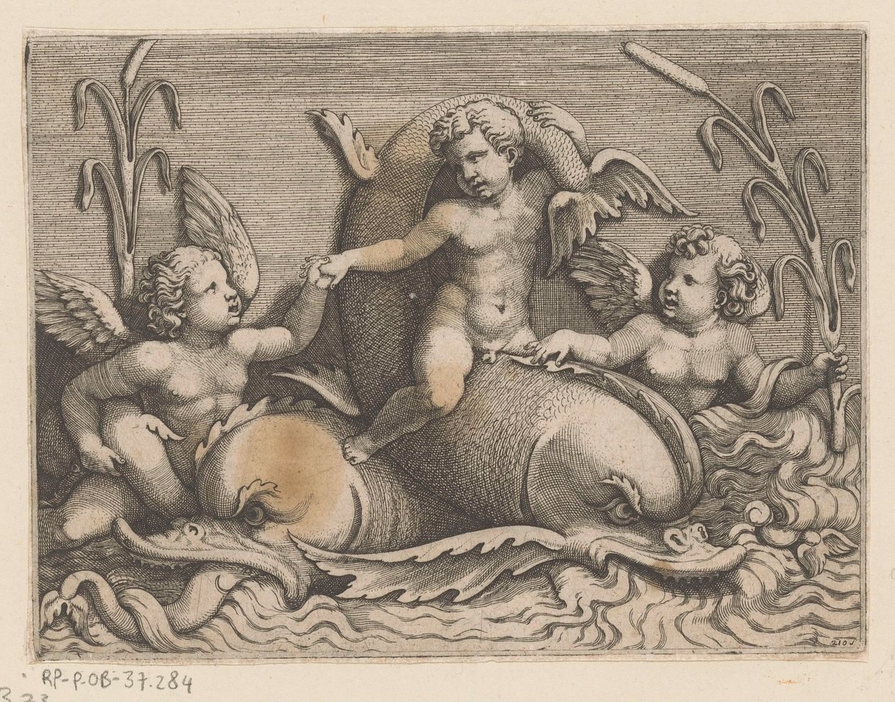 Tre putti med delfiner av Adamo Scultori