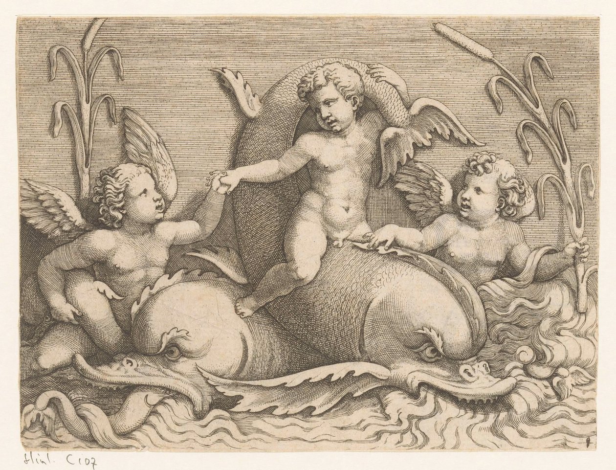 Tre putti med delfiner av Adamo Scultori