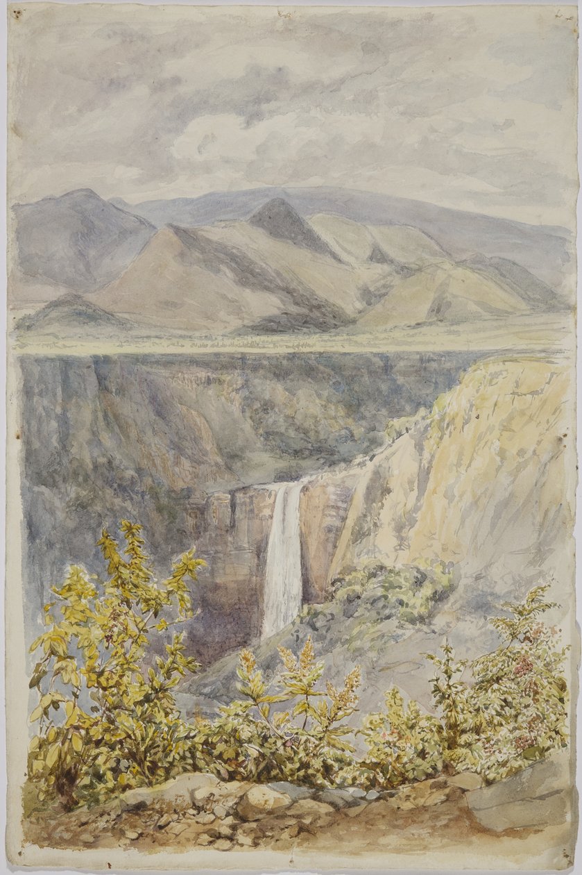 Foss i Huauchinango, Puebla State, Mexico av Adela Breton