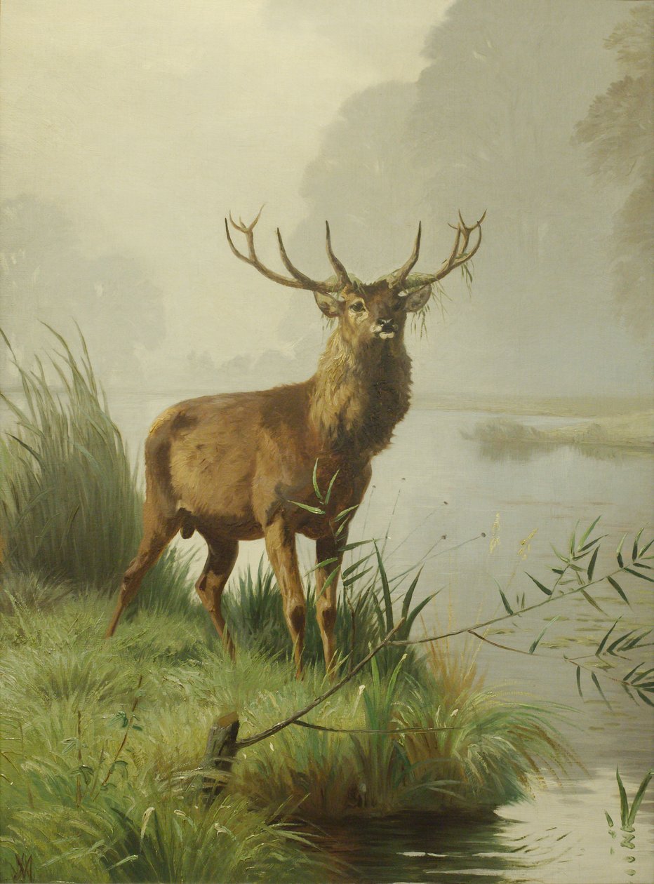 Rødhjort av Adolf Mackeprang