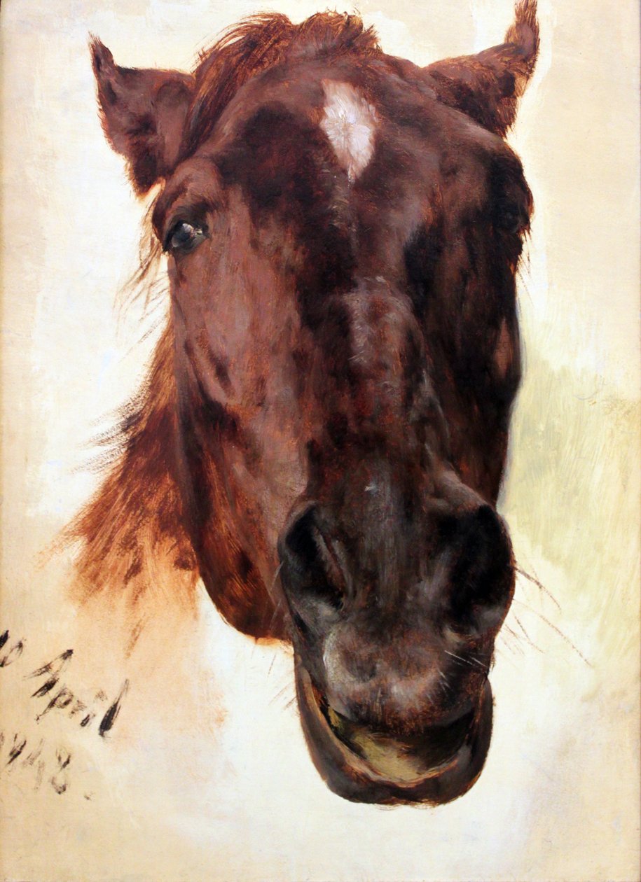 Hestestudie av Adolph Menzel