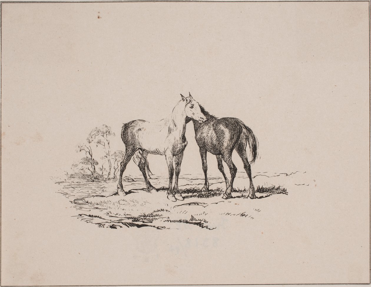 De to hestene av Johan Adolph Kittendorff
