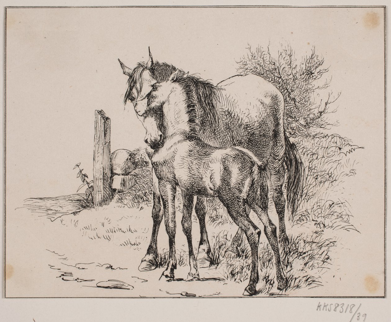 Hesten og føllet av Johan Adolph Kittendorff