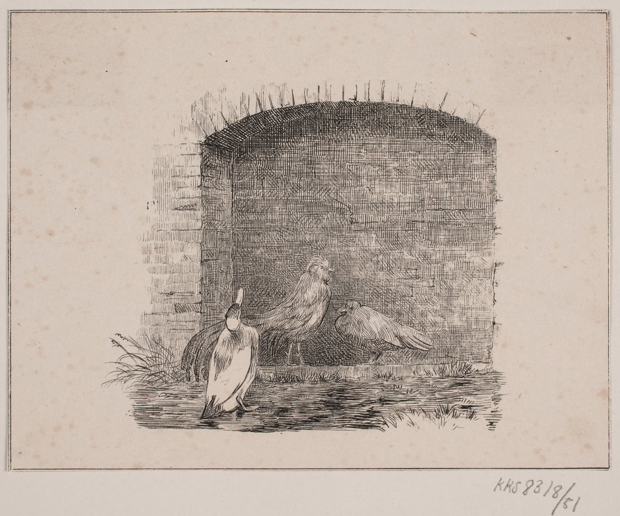 Kyllingene og endene av Johan Adolph Kittendorff