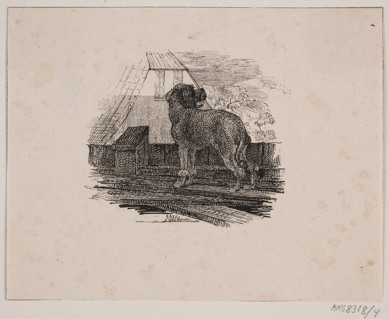 Puddelhunden av Johan Adolph Kittendorff