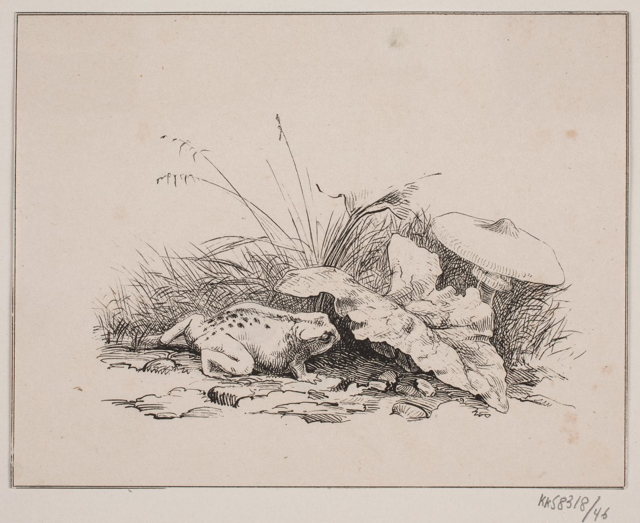 Padden av Johan Adolph Kittendorff