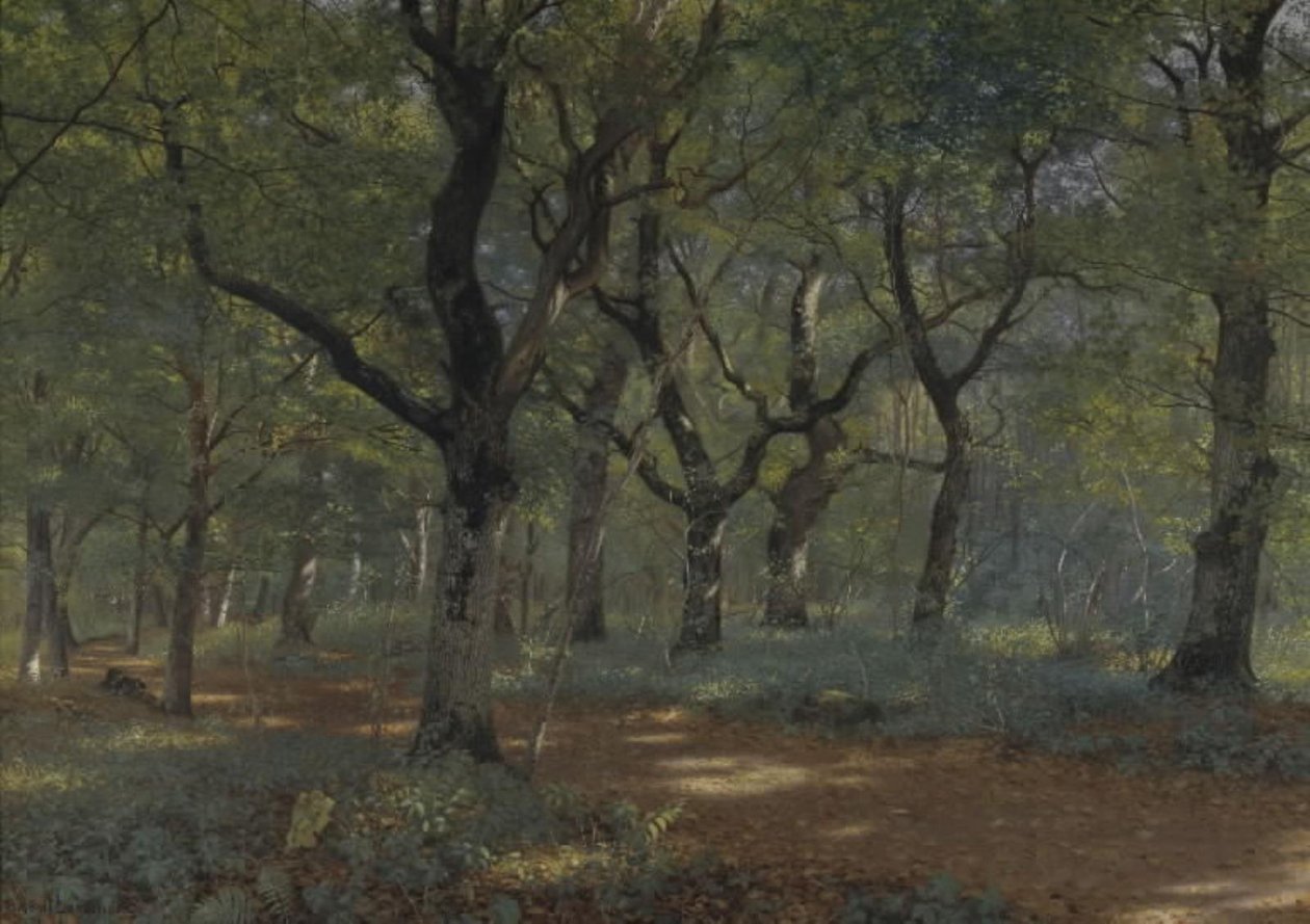 I skogen av Adolph Larsen