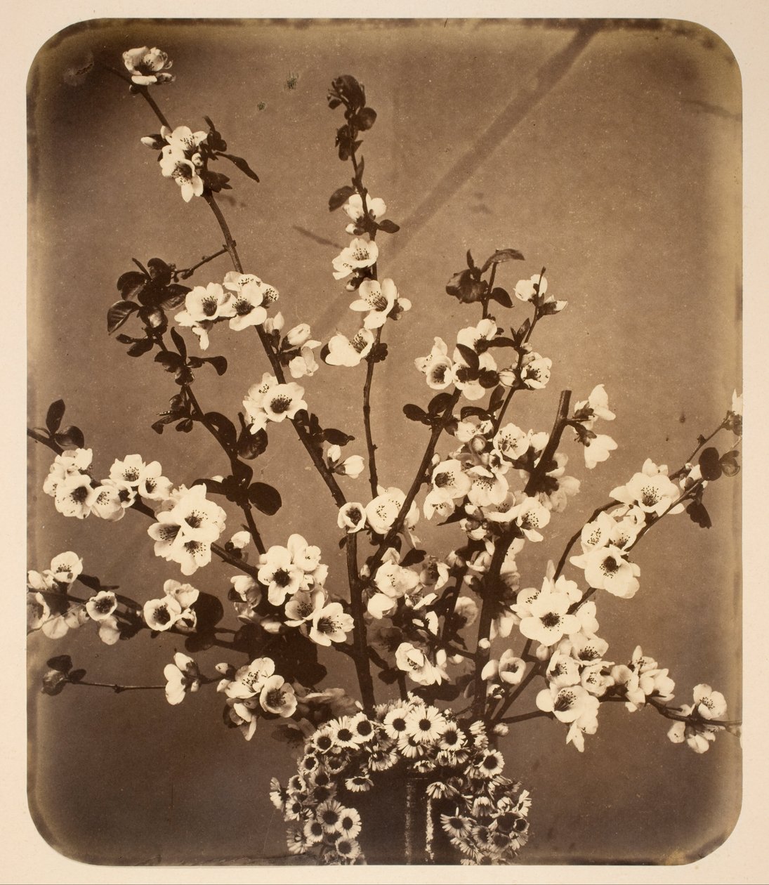 Blomstret stilleben av Adolphe Braun