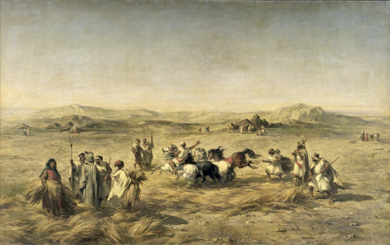 Tresking av hvete i Algerie, 1853 av Adolphe Pierre Leleux