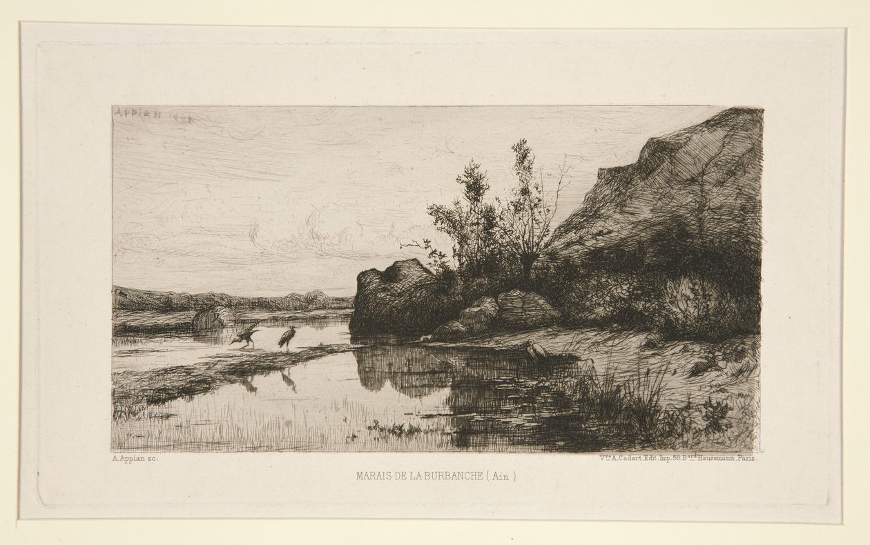 Burbanche Marsh (Ain) av Adolphe Appian