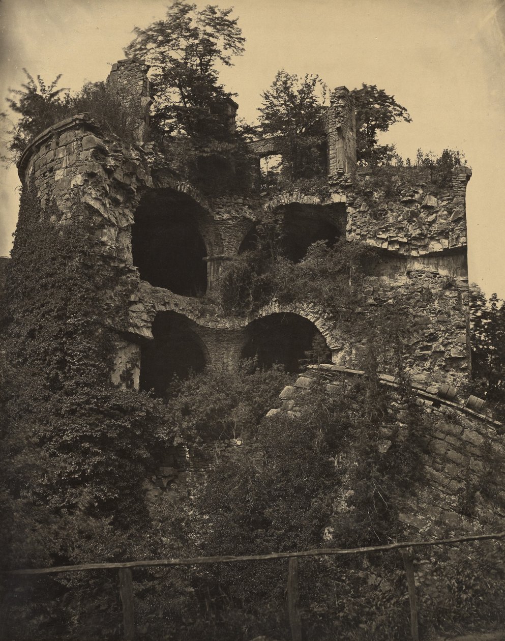  av Adolphe Braun