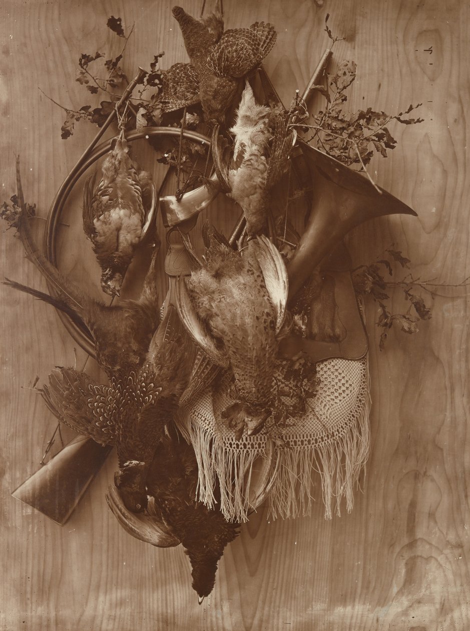 Fasan og rype, ca. 1865. av Adolphe Braun
