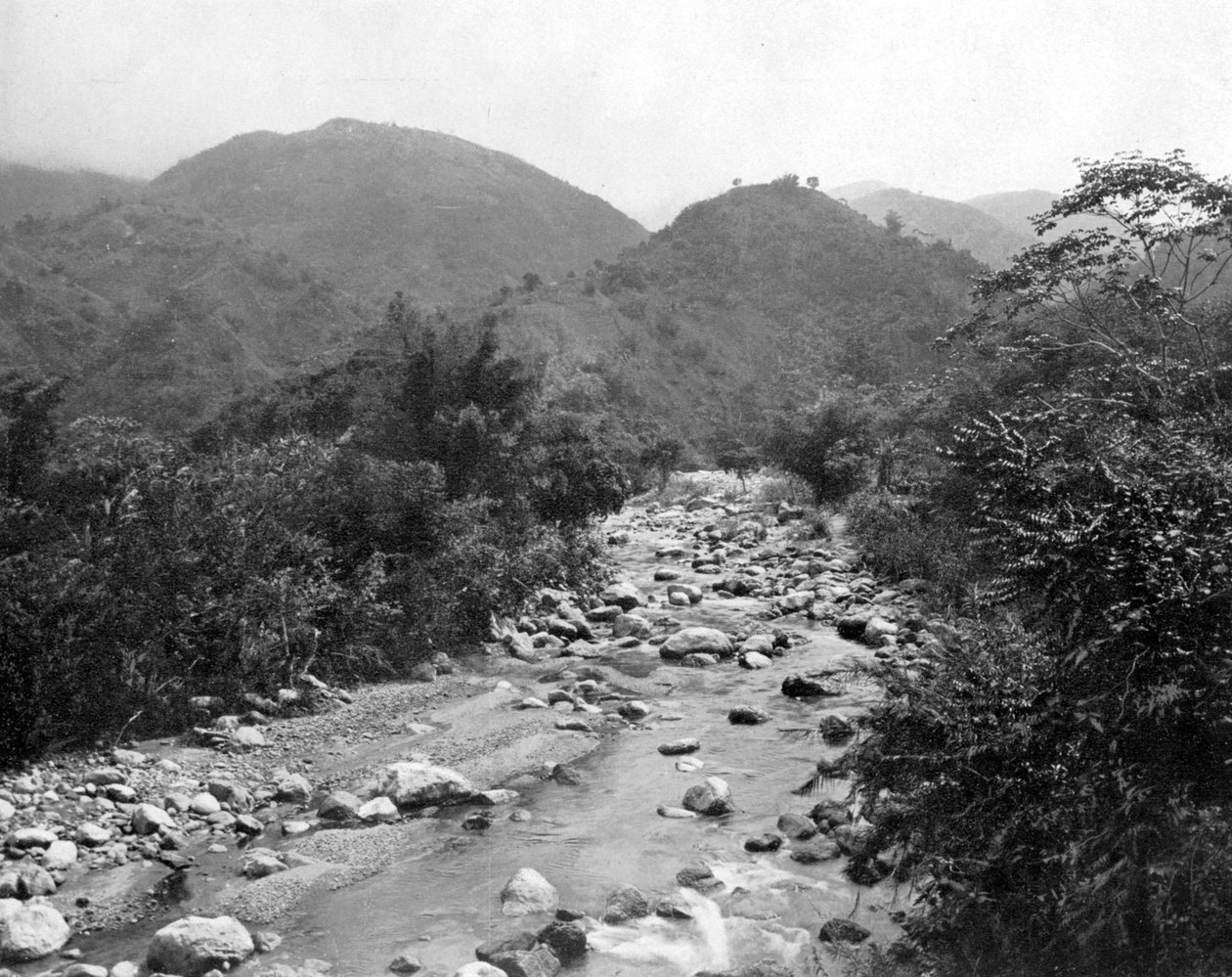 The Wag-River, Castleton, Jamaica, c1905. av Adolphe Duperly and Son