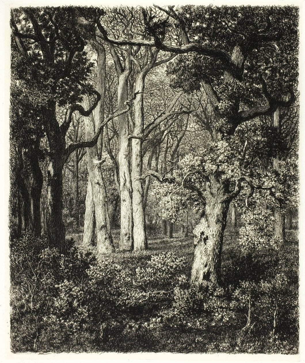 Old Oaks på Bas Bréau av Adolphe Martial Potemont