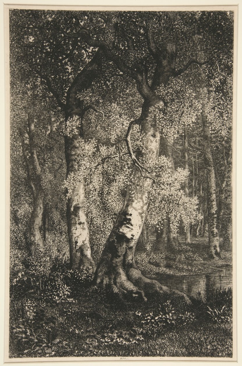 Bøkene av Adolphe Martial Potemont