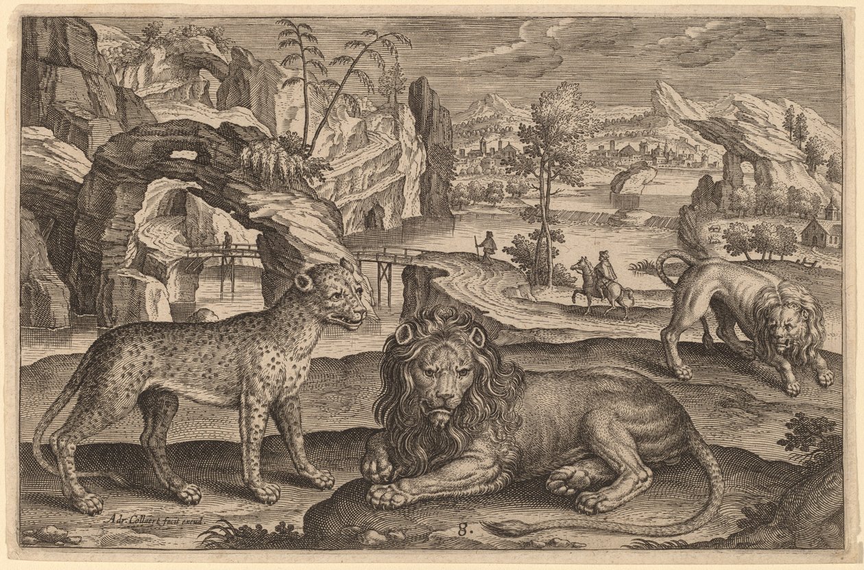 En leopard og to løver av Adriaen Collaert