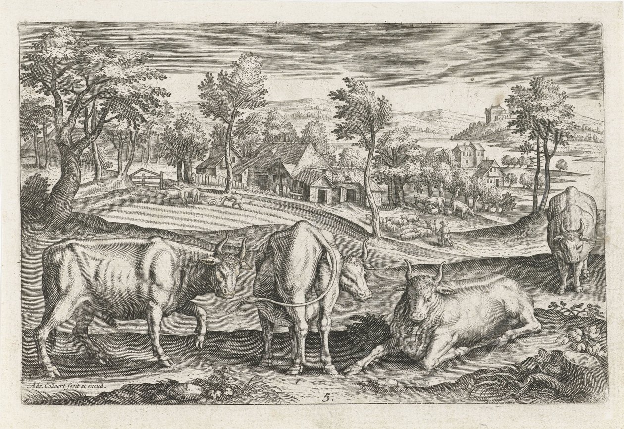 kveg Firebeinte dyr (serietittel) Animalivm Qvaddrvpedvm (serietittel) av Adriaen Collaert
