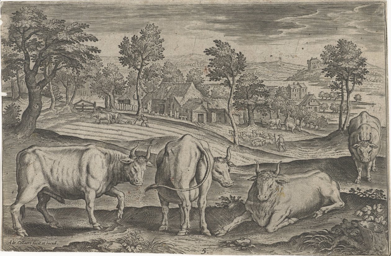 kveg Firebeinte dyr (serietittel) Animalivm Qvaddrvpedvm (serietittel) av Adriaen Collaert