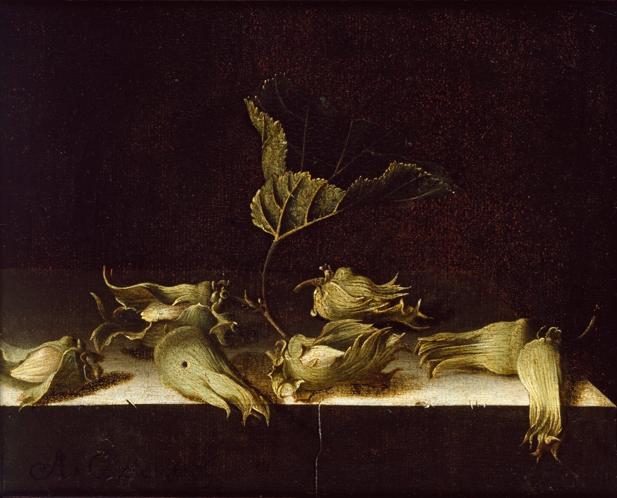 Stilleben med hasselnøtter, 1696 av Adrian Coorte