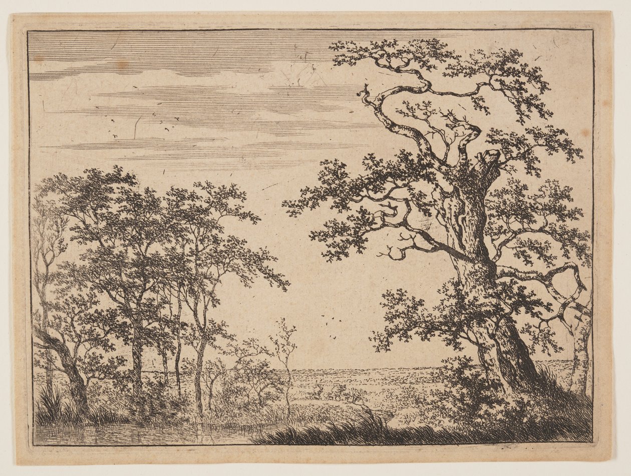  av Adriaen Hendricksz. Verboom