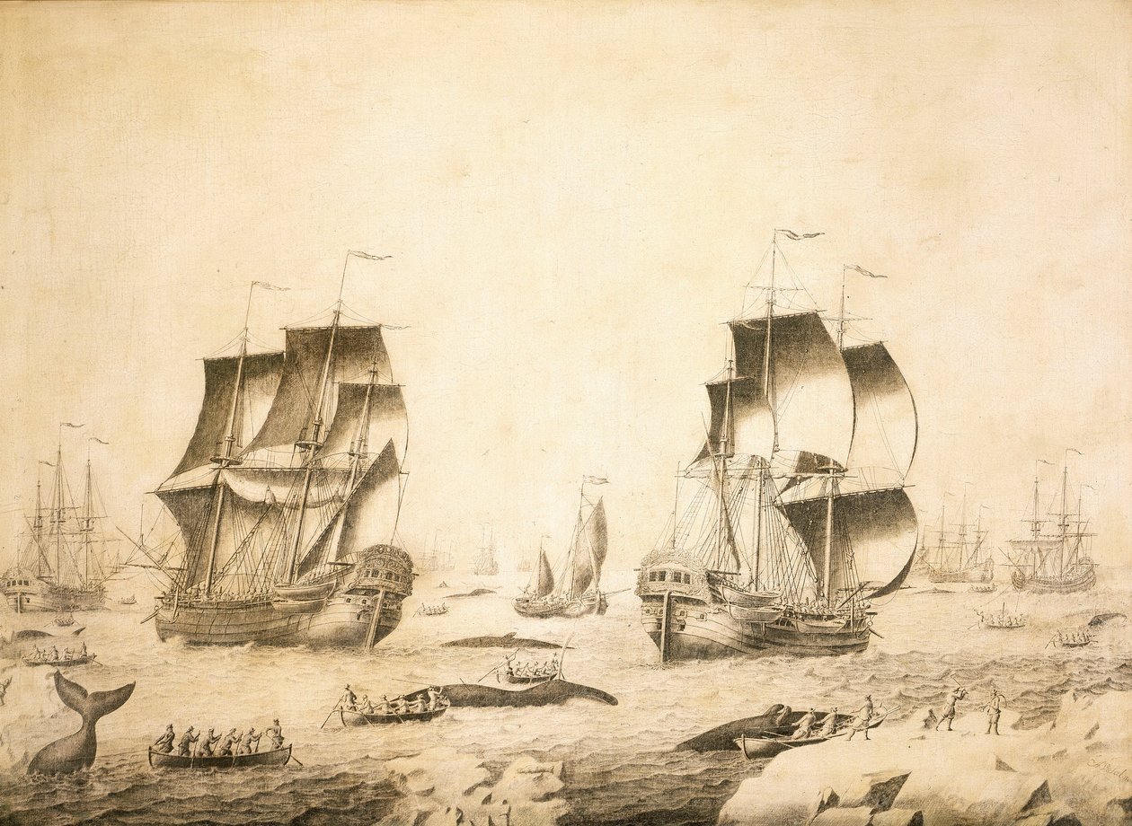  av Adriaen or Abraham Salm