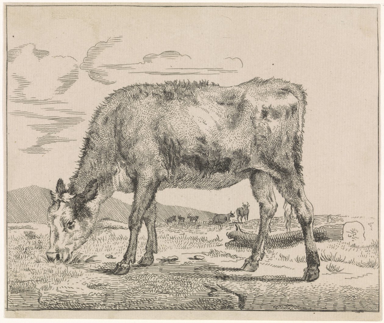 Beitende kalv Husdyr (serietittel) av Adriaen van de Velde