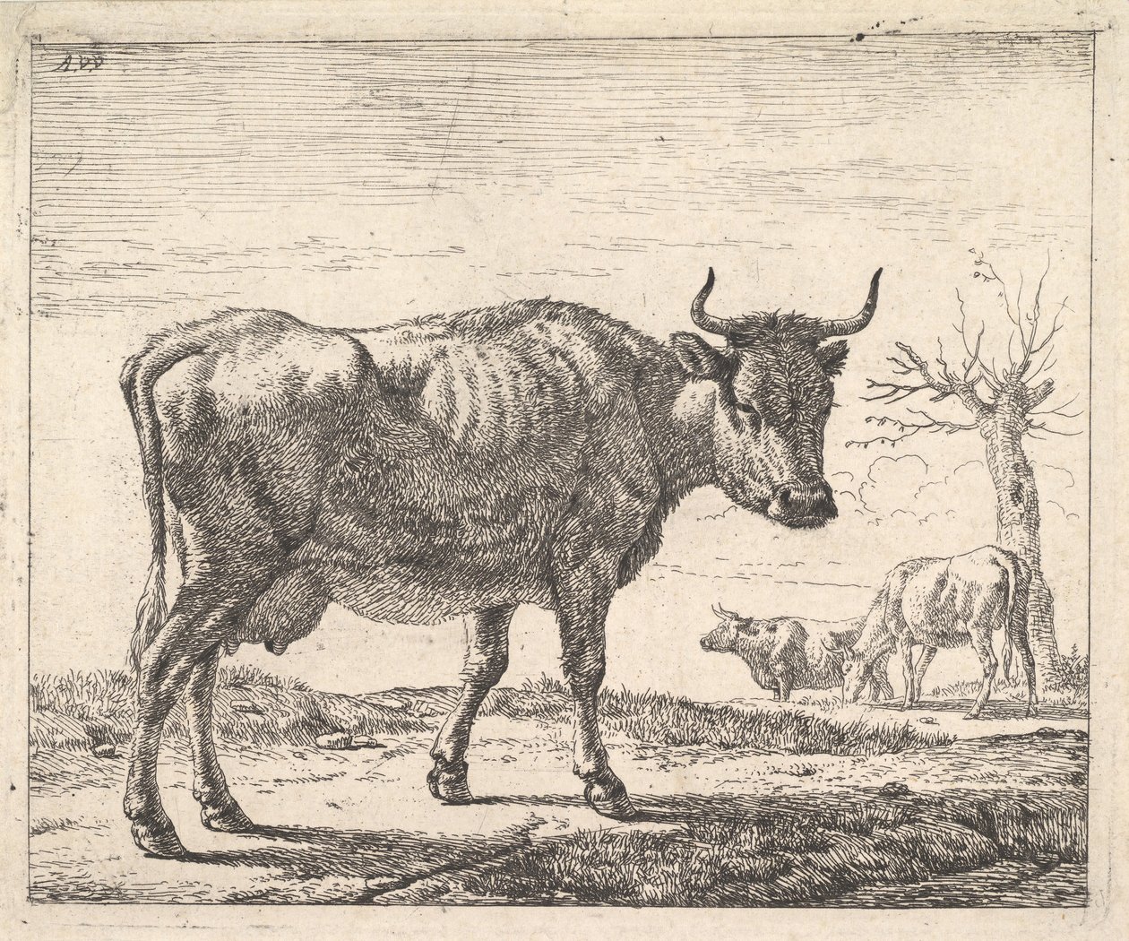 Tre kyr. av Adriaen van de Velde