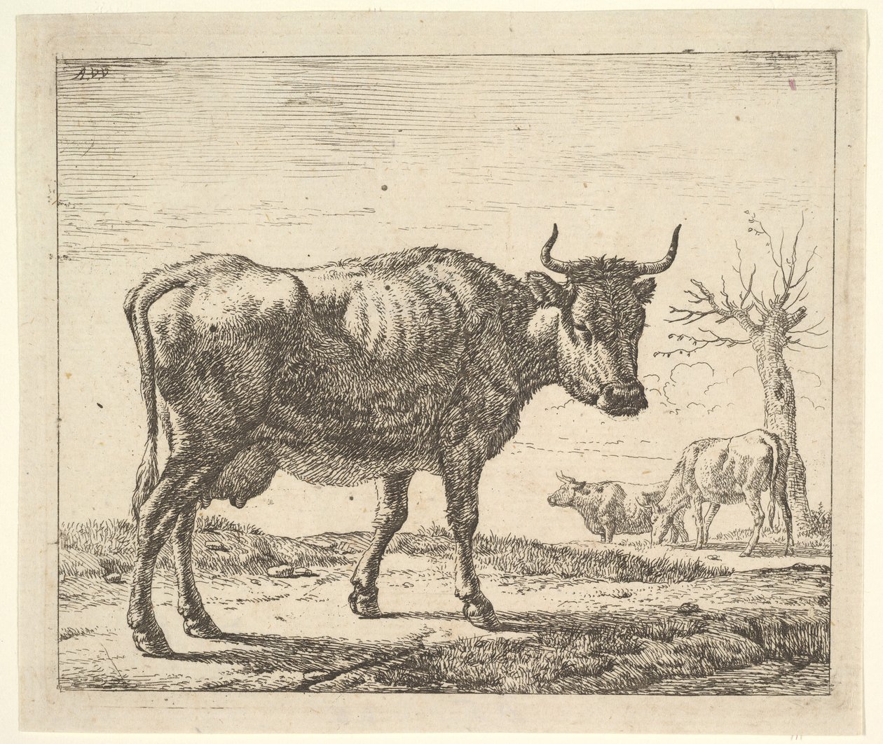 Tre kyr, fra forskjellige dyr. av Adriaen van de Velde